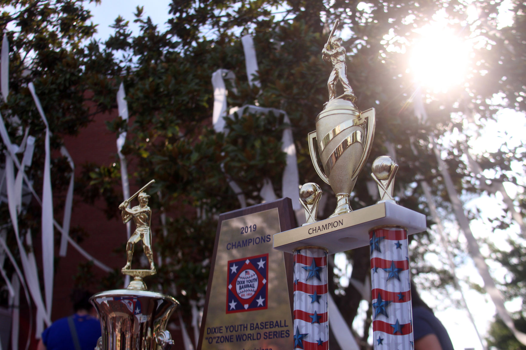 Auburn Orange Dixie Youth Baseball World Series champion celebration